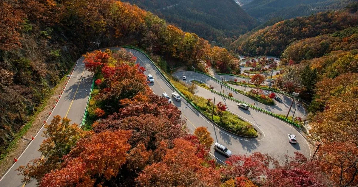 veduta panoramica di strada con tornanti e auto in un contesto autunnale
