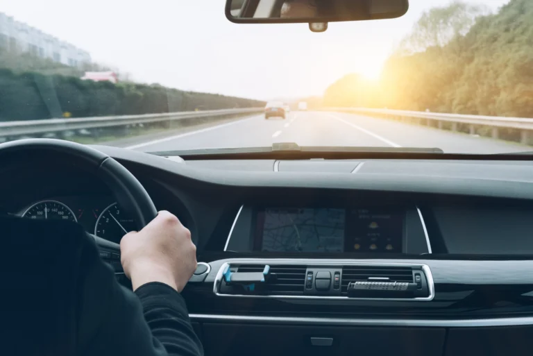 nuovo codice della strada: persona al volante